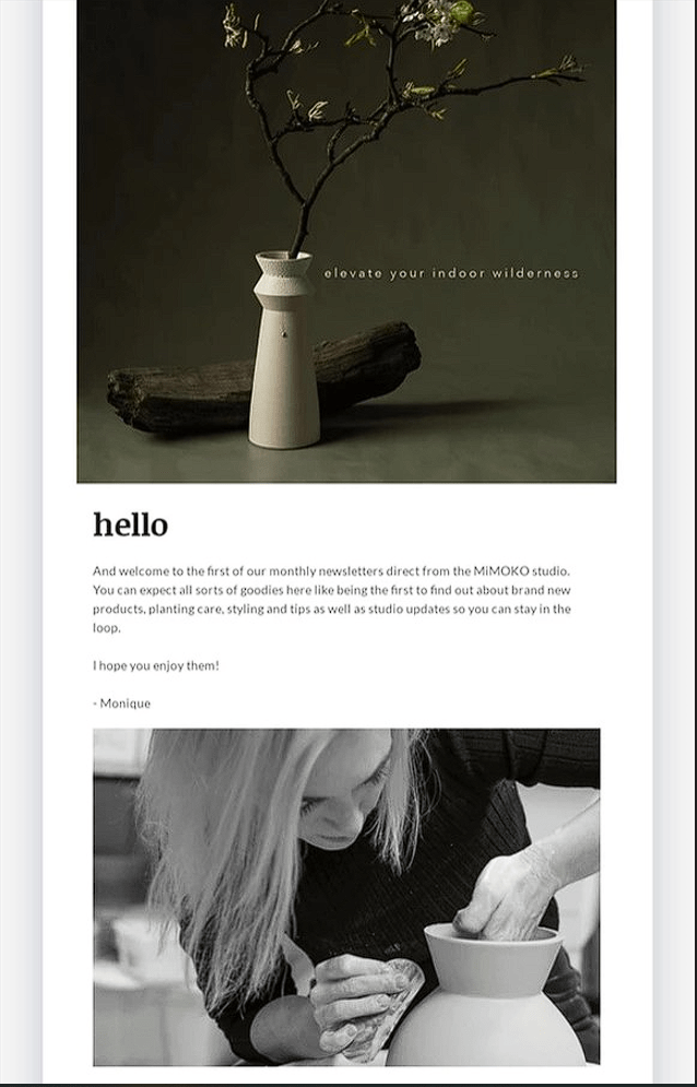 Small part of our VoW Lifestyle newsletter Home Landing Page VoW Lifestyle