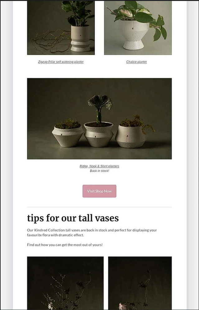 Small part of our VoW Lifestyle newsletter Home Landing Page VoW Lifestyle