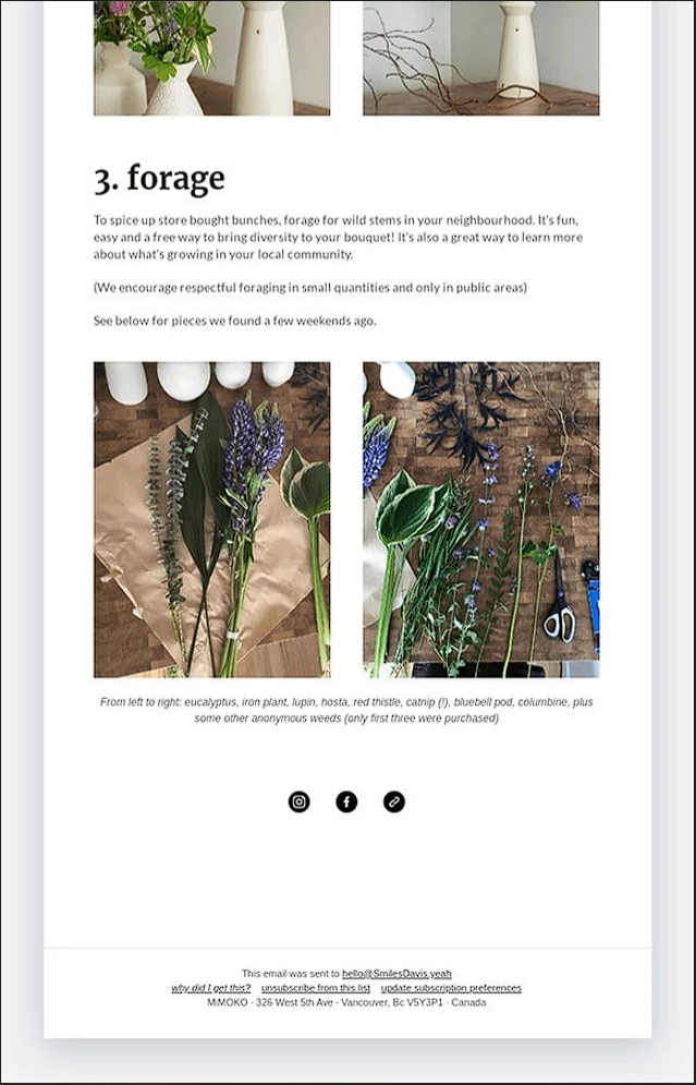 Small part of our VoW Lifestyle newsletter Home Landing Page VoW Lifestyle
